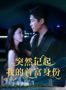 短剧《突然记起我的首富身份》109集短剧蓝光画质一键直达