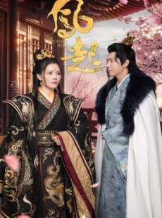 短剧《凤起》81集短剧全集高清无删减观看