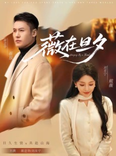 短剧《薇在旦夕》80集短剧全集在线免费畅快看