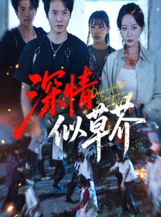 短剧《深情似草芥》51集短剧1080P高清画质流畅播放