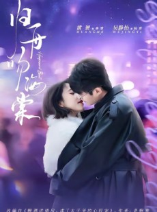 短剧《归舟吻海棠》80集短剧免费观看全集无广告