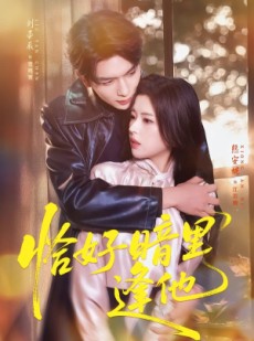短剧《恰好暗里逢他》66集短剧全集免费在线追