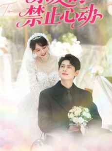 短剧《亲爱的禁止心动》96集短剧在线观看全集无删减