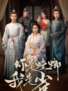 短剧《你是螳螂我是雀》41集短剧全集资源网盘分享免费看