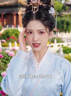短剧《朕的妃子有点猛》50集短剧在线观看直达大结局
