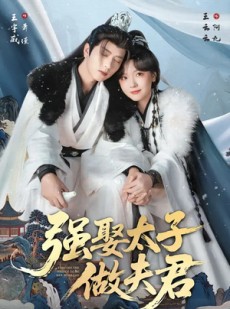 短剧《强娶太子做夫君》67集短剧全集在线免费畅享看