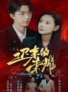 短剧《迟来的荣耀》79集短剧全集资源网盘分享