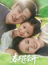 短剧《春天花会开》82集短剧完整版免费畅快观看