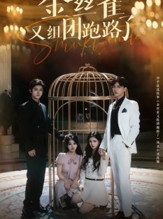 短剧《金丝雀又组团跑路了》长篇短剧全集在线观看无需会员