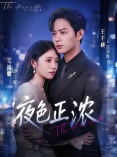 短剧《夜色正浓》65集短剧无卡顿流畅在线观看