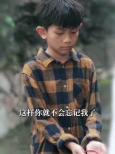短剧《胜率百分之一看我如何逆袭成股神》83集短剧在线免费观看全集