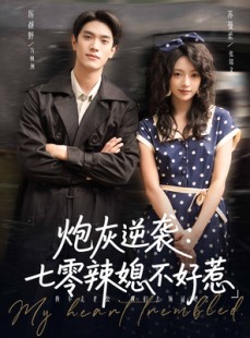 短剧《炮灰逆袭七零辣媳不好惹》78集短剧高清全集免费观看