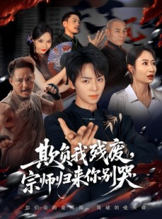 短剧《欺负我残废，宗师归来你别哭》64集短剧无广告高清免费追