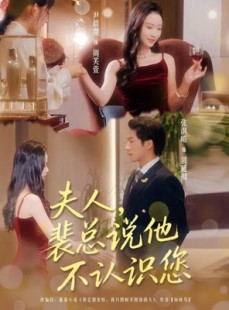 短剧《夫人裴总说他不认识您》75集短剧1080P超清画质畅快观看