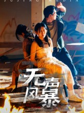 短剧《无声风暴》33集短剧高清全集一键观