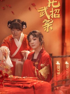 短剧《比武招亲》61集短剧手机平板随时随地观看