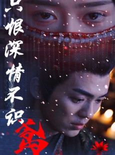 短剧《只恨深情不识鸢》83集短剧全集高清在线不卡顿