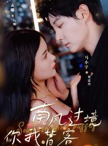 短剧《南风国境你我皆客》80集短剧高清流畅在线免费看