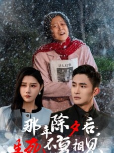 短剧《那年除夕后生死不复相见》48集短剧全集免费解锁观看