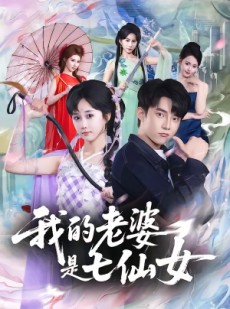 短剧《我的老婆是七仙女》57集短剧高清无广告免费观看