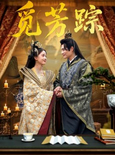 短剧《觅芳踪》91集短剧全集免费高清在线赏