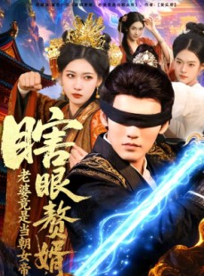 短剧《瞎眼赘婿，老婆竟是当朝女帝》84集短剧高清无删减在线观看