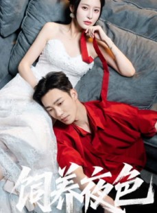 短剧《饲养夜色》86集短剧蓝光画质无广告观看