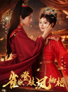 短剧《雀欲登枝凤栖梧》81集短剧超清全集免费追