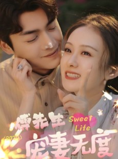 短剧《傅先生宠妻无度》94集短剧极速缓冲在线观看