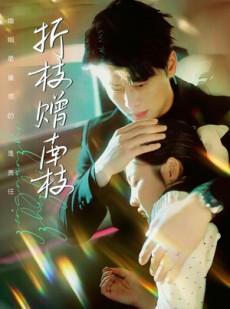 短剧《折枝赠南枝》80集短剧全集高清流畅版在线看