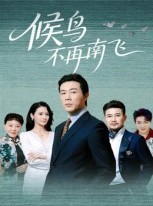 短剧《候鸟不再南飞》80集短剧高清完整版免费畅看