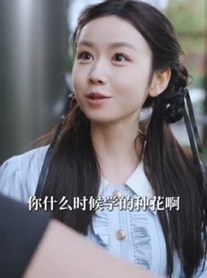 短剧《茫茫夏》85集短剧高清流畅版手机在线看