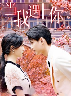 短剧《当我遇上你》100集短剧蓝光画质独家免费放送