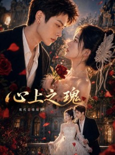 短剧《心上之瑰》60集短剧免费高清在线赏剧