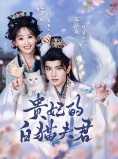 短剧《贵妃的白猫夫君》81集短剧在线解锁全集观看