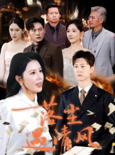短剧《离婚而已》74集短剧全集高清在线追剧