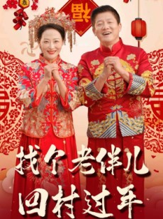 短剧《找个老伴儿回村过年》58集短剧全集高清免费下载