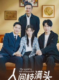 短剧《人间枝满头》61集短剧全集网盘分享免费看