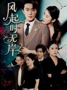 短剧《风起时无岸》58集短剧全集资源一键解锁观看