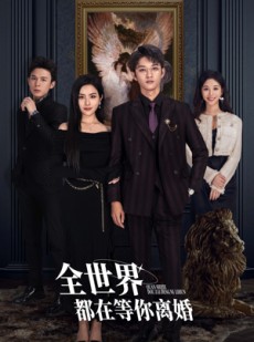 短剧《全世界都在等你离婚》89集短剧全集抢先版在线观看