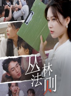 短剧《丛林法则》29集短剧全集下载后离线观看