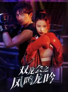 短剧《双龙会之凤鸣龙吟》80集短剧极速播放完整版在线看