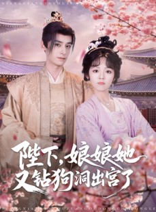 短剧《陛下娘娘她又钻狗洞出宫了》80集短剧全集免费解锁观看