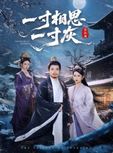 短剧《一寸相思一寸灰》60集短剧高清全集免费畅享看