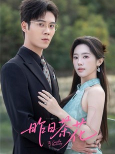 短剧《昨日茶花》56集短剧完整版免费在线看