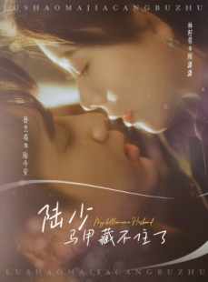 短剧《陆少马甲藏不住了》63集短剧全集在线观看，精彩不容错过