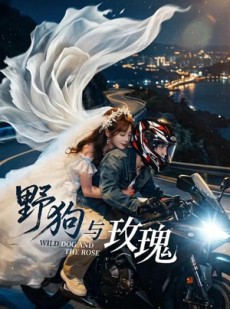 短剧《野狗与玫瑰》30集短剧全集免费一键观看