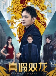 短剧《冒牌赘婿》90集短剧全集1080P画质在线流畅看