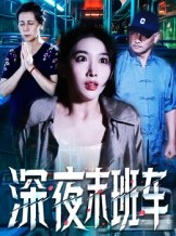 短剧《深夜末班车》30集短剧超清画质在线免费看