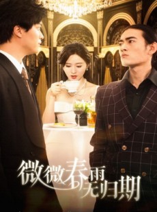 短剧《微微春雨无归期》65集短剧完整版在线高清观看